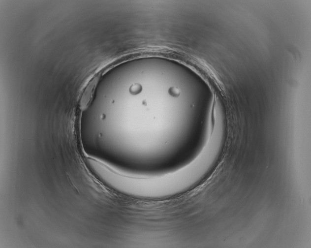 X0000112011260200908241447