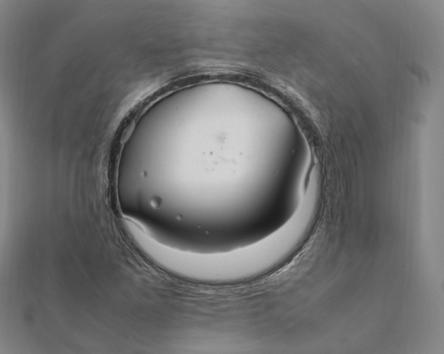 X0000112011261200908241447