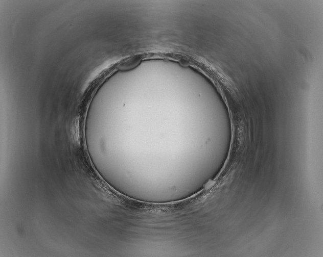 X0000112011262200908241447