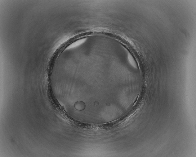 X0000112011263200908241447