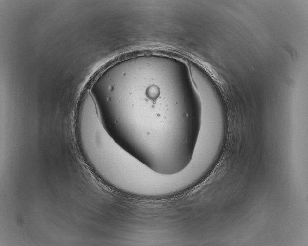 X0000112011264200908241447