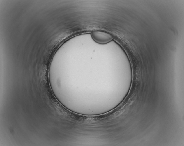 X0000112011265200908241447