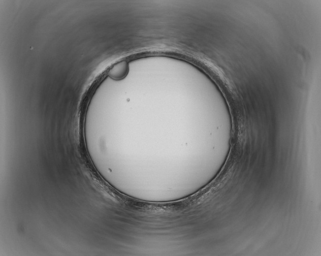 X0000112011270200908241447