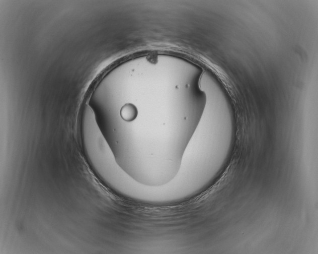 X0000112011272200908241447