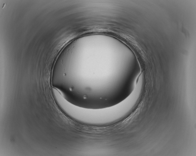 X0000112011273200908241447