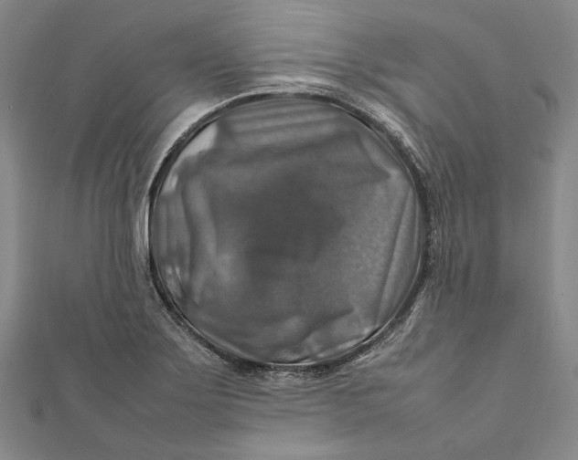 X0000112011275200908241447