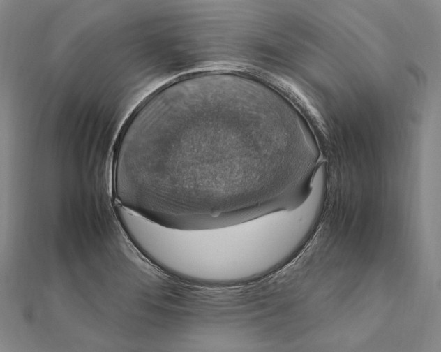 X0000112011276200908241447