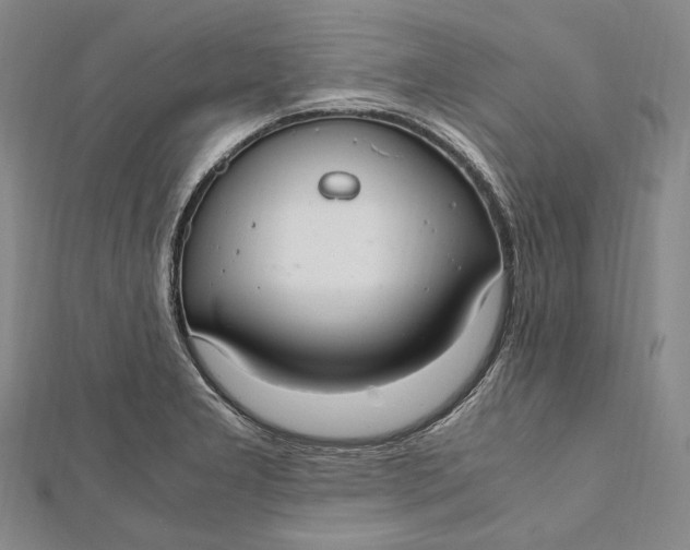 X0000112011277200908241447