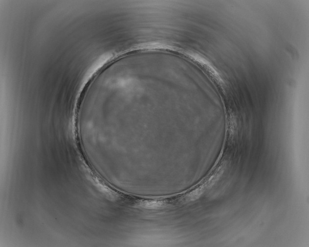 X0000112011278200908241447