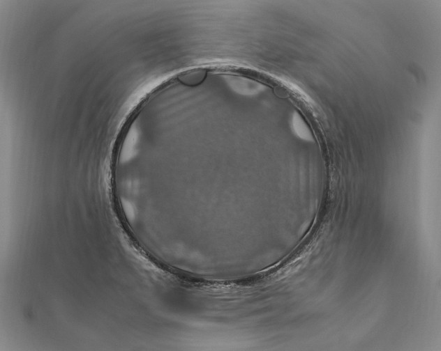 X0000112011279200908241447