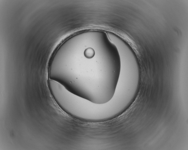 X0000112011280200908241447