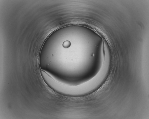 X0000112011281200908241447