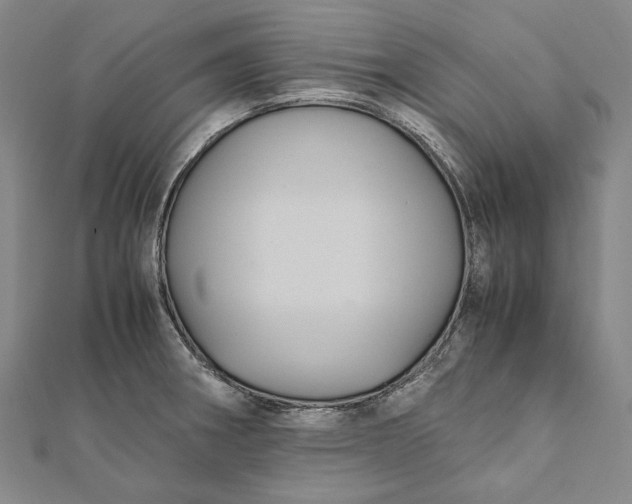 X0000112011282200908241447