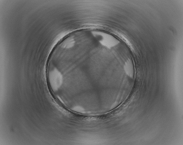 X0000112011283200908241447