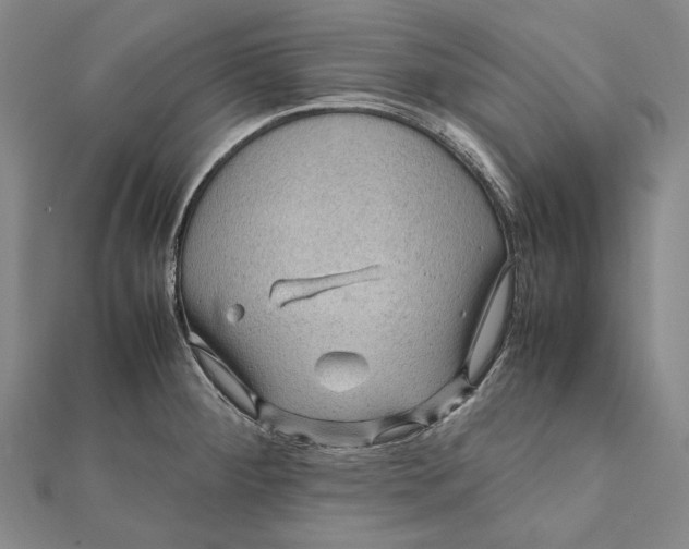 X0000112011284200908241447