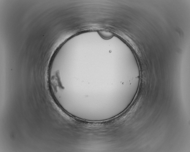 X0000112011285200908241447