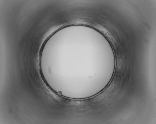 X0000112011286200908241447