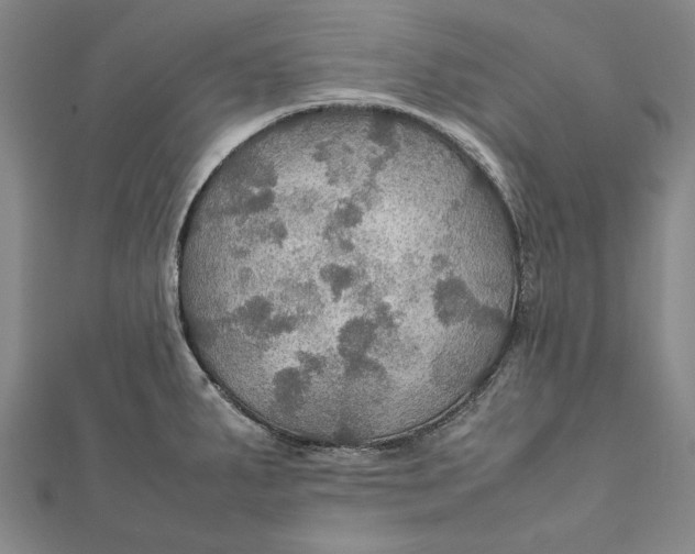 X0000112011287200908241447