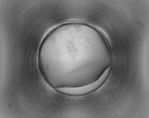 X0000112011288200908241446