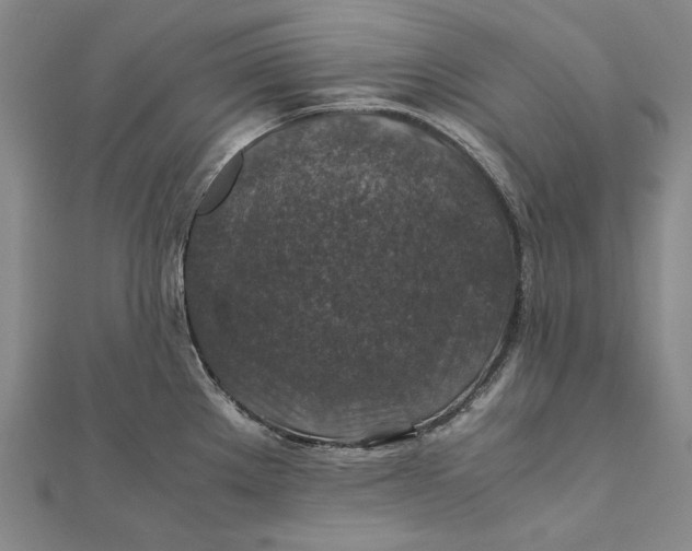 X0000112011289200908241446