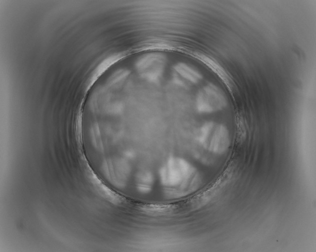 X0000112011290200908241446