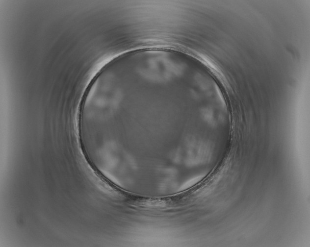 X0000112011291200908241446