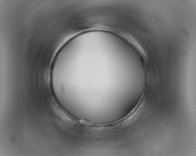 X0000112011292200908241446