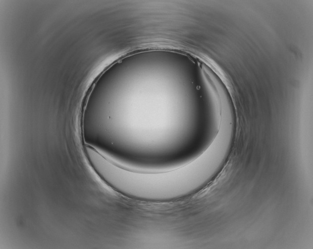 X0000112011293200908241446