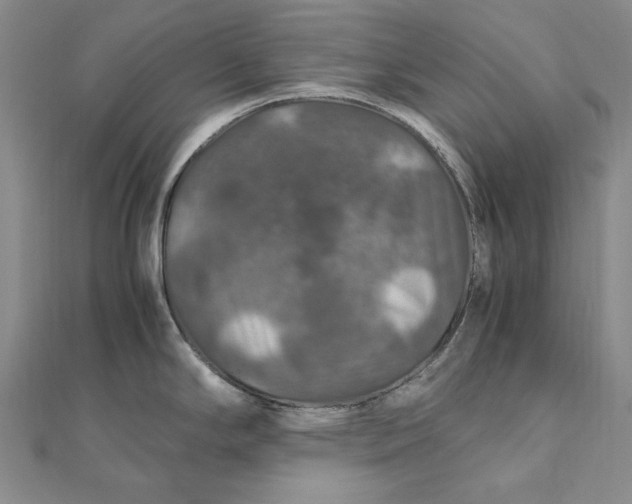 X0000112011294200908241446