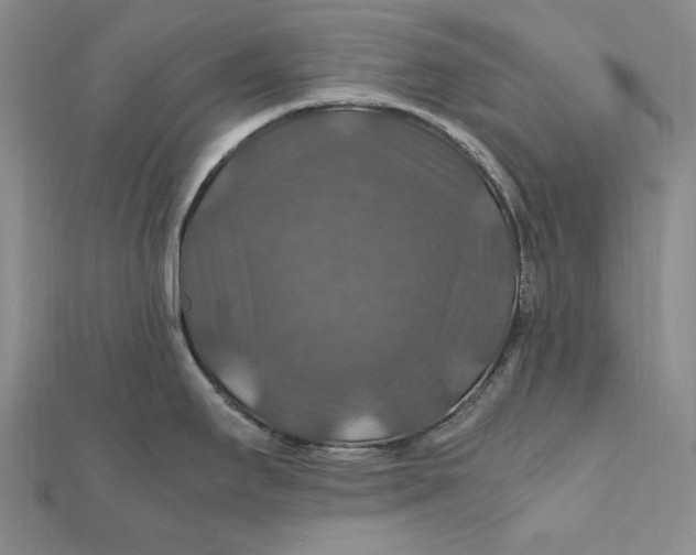 X0000112011295200908241446