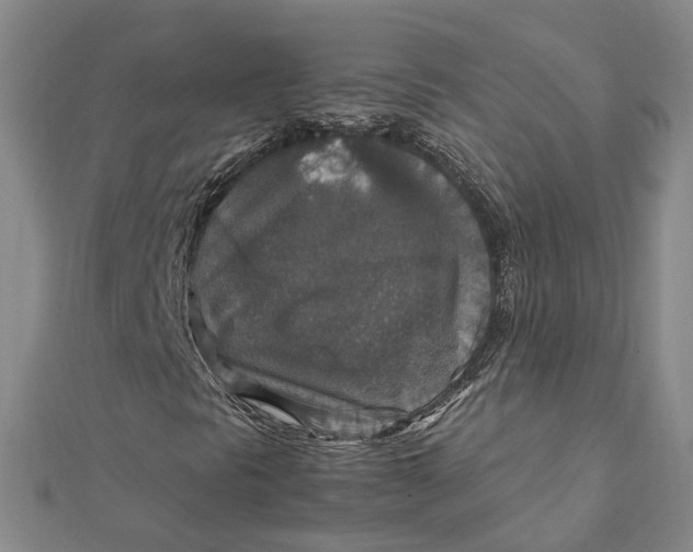 X0000112011297200908241446