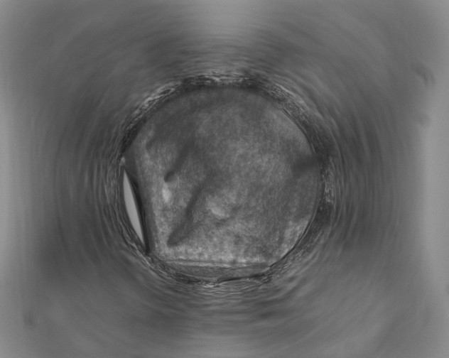 X0000112011298200908241446