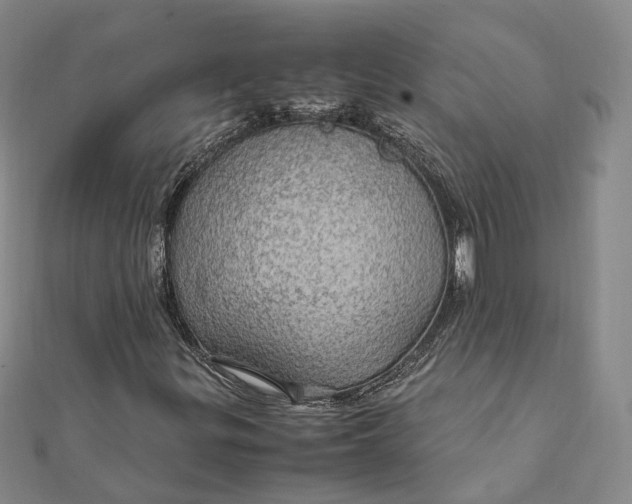 X0000112011299200908241446