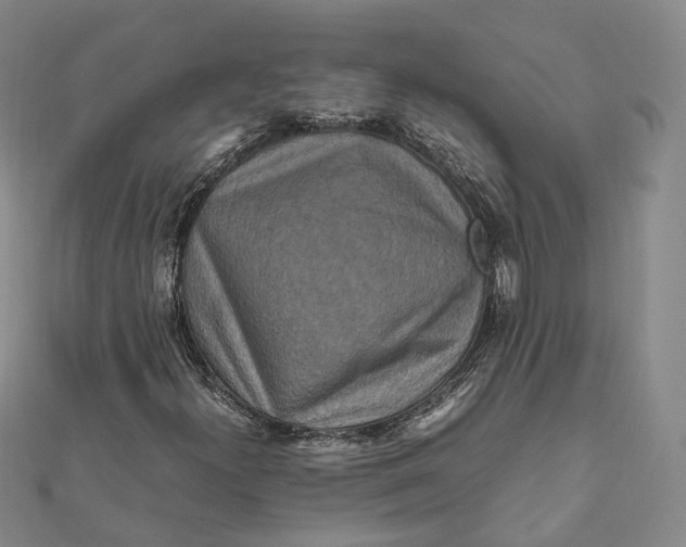 X0000112011300200908241446