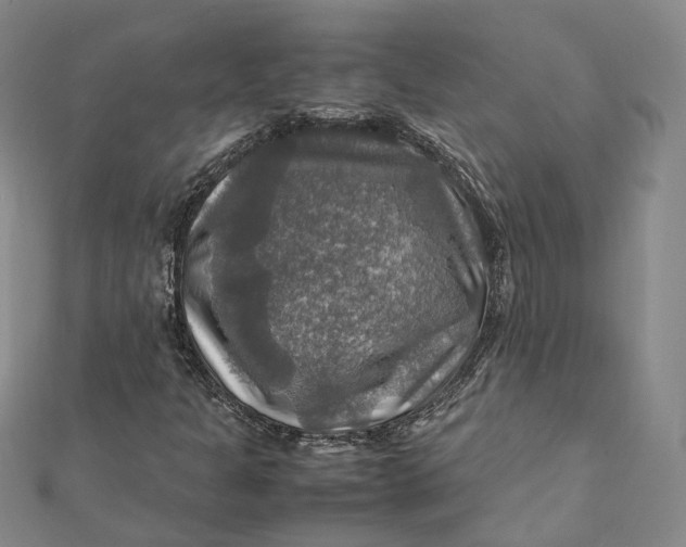 X0000112011301200908241446