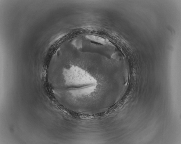 X0000112011302200908241446