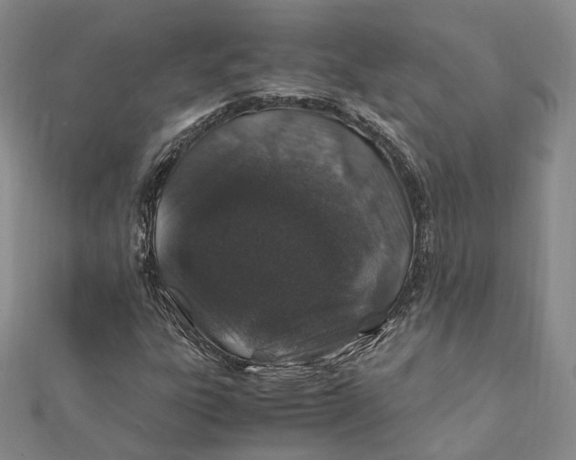 X0000112011303200908241446