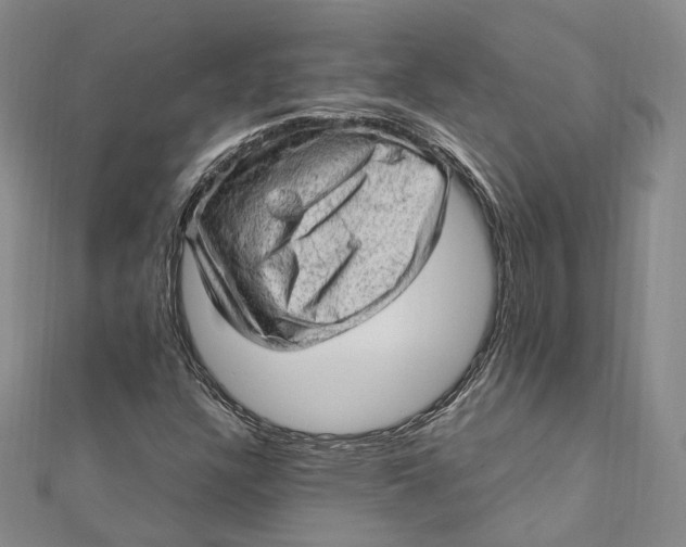 X0000112011304200908241446