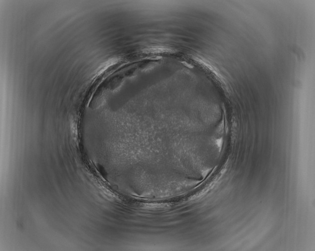 X0000112011305200908241446