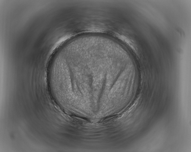 X0000112011307200908241446