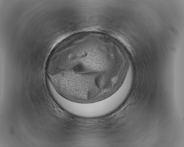 X0000112011308200908241446