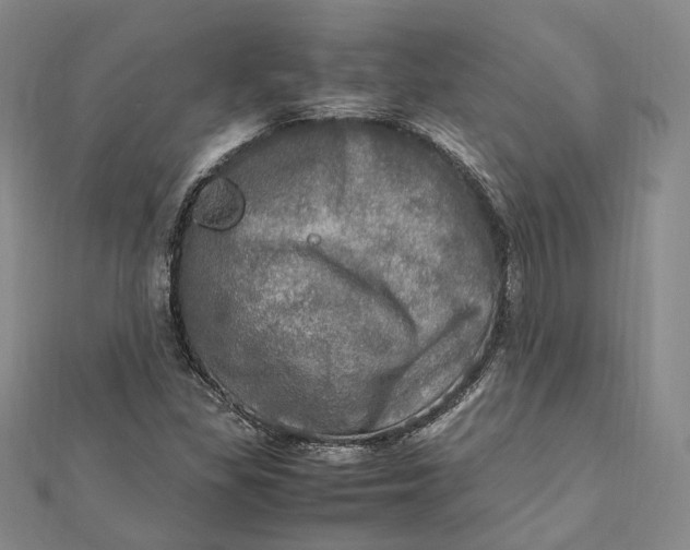 X0000112011309200908241446