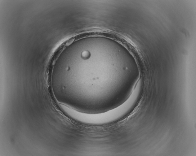 X0000112011310200908241446