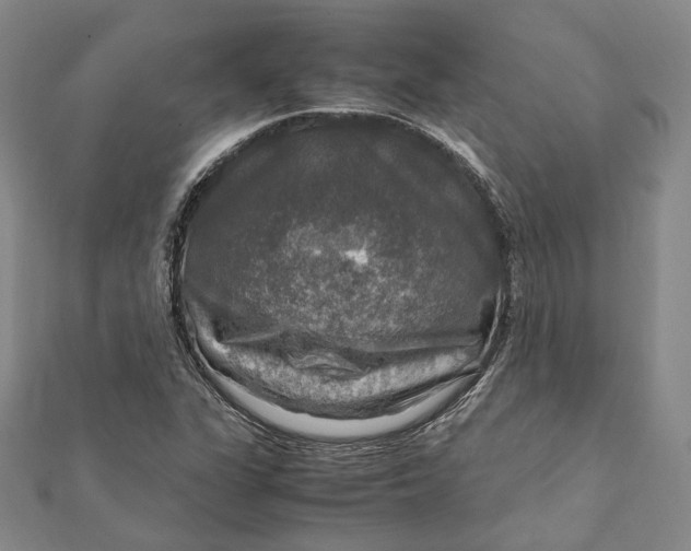 X0000112011311200908241446