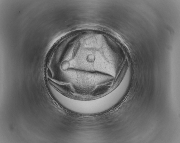 X0000112011312200908241446