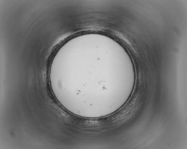 X0000112011315200908241446