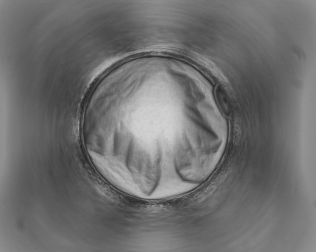 X0000112011316200908241446