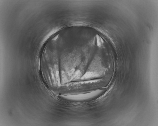 X0000112011317200908241446