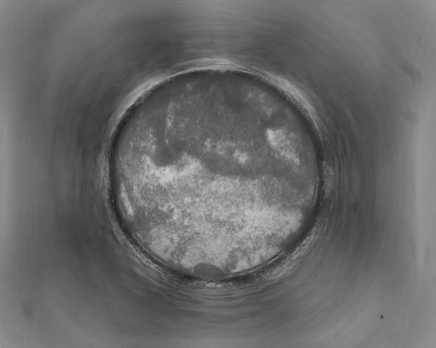 X0000112011318200908241446