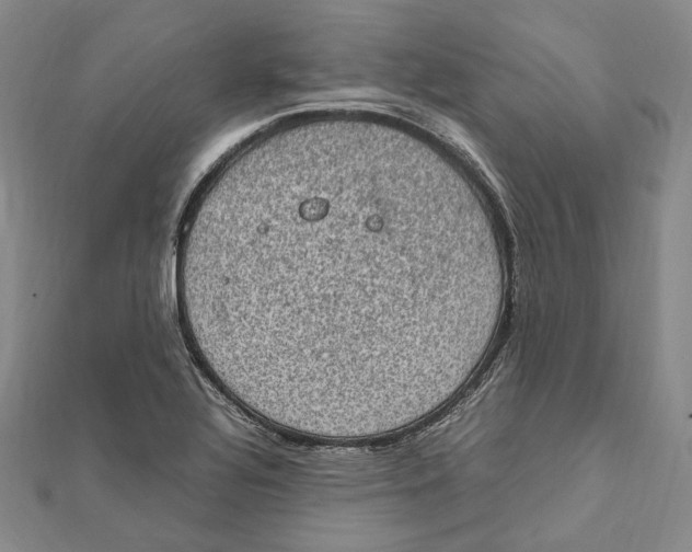 X0000112011320200908241446